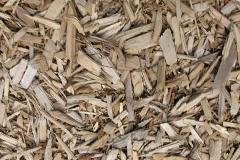 biomass boilers Meonstoke